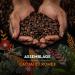CARTE NOIRE - Caf Grain Carte Noire Secrets de Nature - Catuai Romex - Certifi Rainforest Alliance - Paquet de 2 kg - Buy Online on GoSupps.com