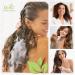 WIC Family Naturals Organic Shampoo and Conditioner Set For All Hair Types Phthalate Paraben & Sulfate Free Shampoo and Conditioner Gentle Formula (Vanilla & Orange 16oz) Vanilla & Orange 473 ml (Pack of 2) - Buy Online on GoSupps.com