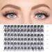 Buy Lankiz 0.07 C Curl 12mm Single False Eyelashes - 72 PCs Cluster Lashes for DIY Extensions | Natural Look at Home - Buy Online on GoSupps.com