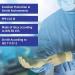 Surgical Gloves - Medium Powder Free Sterile Latex Disposable (Size 7.5, 50 Pairs) for Surgery Operations and Medical Exam PPE - Meditrade Gentle Skin - Buy Online on GoSupps.com