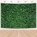 Msocio 7x5ft Spring Greenery Leaves Grass Photography Backdrop - Perfect for Birthday, Wedding, Baby Shower - Durable Polyester Fabric - Portrait Photo Booth - 7'x5 - Buy Online on GoSupps.com