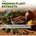 Tary Nally Liposomal Berberine GLP-1 Supplement - 180 Capsules Organic Berberine with Ceylon Cinnamon & Citrus Bergamot Supplement Metabolism & Blood Sugar Support for Women and Men 3-Month Supply - Buy Online on GoSupps.com