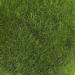 12Pcs Moss Ball Terrarium Decorative Artificial Green Moss Stones Simulation Grass Bonsai DIY Landscape Decor - Buy Online on GoSupps.com
