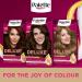  Palette Palette Deluxe Creme Permanent Hair Color 3-65 Chocolate Brown Long Lasting Hair Color with Moisture Retention Treatment and 100% Grey Coverage - Buy Online on GoSupps.com