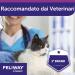 Feliway Pheromone Spray 60ml - Buy Online on GoSupps.com