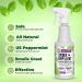 Mighty Mint 16oz Spider Repellent Peppermint Oil Spray - Natural Killer and Deterrent for Spiders and Insects - Buy Online on GoSupps.com