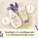 Aveeno Baby Calming Comfort Bedtime Set - Lavender & Vanilla Bath Wash + Lotion | 2-Piece Set for Delicate Skin - 250ml & 150ml - Buy Online on GoSupps.com