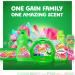 Gain Flings Laundry Detergent Pacs 112 Count - Spring Daydream Scent, HE Compatible - Buy Online on GoSupps.com