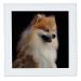3dRose qs_1261_1 Pomeranian Portrait Quilt Square  10 by 10-Inch 10x10 inch quilt square