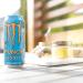 Monster Energy Punch Mango Loco 473mL Cans Pack of 4 - Buy Online on GoSupps.com