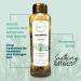 ANYELUZ Rosemary Shampoo & Aloe Conditioner Set - Volume Hydration Shine with Hyaluronic Acid & Argan Oil | International Shipping Available - Buy Online on GoSupps.com