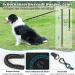 Aystkniet Bungee Drag Line for Dogs - Shock-Absorbing Leash with Padded Handle & Reflective Threads | 3m 5m 10m 15m 20m 30m Options | Ideal for Medium & Large Dogs - Blue - Buy Online on GoSupps.com
