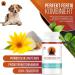 Vitalpfot Synbioflora Pet Vital Prebiotic for Dogs & Cats - Sugar-Free Intestinal Renovation with High Probiotic Concentration - 3x75g - Buy Online on GoSupps.com