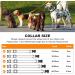 PCEOTLLAR Reflective Dog Collar - Adjustable & Padded Neoprene for Small to Large Dogs - Soft & Durable Orange XS (25-35cm) - Buy Online on GoSupps.com