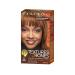 Clairol Professional Texture and Tones 1 oz Light Golden Brown Hair Dye - Fade Resistant Permanent Hair Color - Buy Online on GoSupps.com