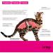 Itiko Digestive Snacks for Cats - Probiotic Treats - Promotes Digestion - Alternative to Clay - Psyllium for Diarrhea - Food Supplement for Cats - Buy Online on GoSupps.com