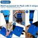 Comzinn Extra Large Ice Pack - 13x21 inches for Lower Back Pain Relief & Surgery Recovery - Buy Online on GoSupps.com