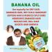 Botanical Beauty BANANA OIL 100% Natural Pure Virgin Unrefined Cold Pressed Carrier Oil for Face Skin Hair Lip Nails for Dry Sensitive Normal Skin 2 Fl Oz 60 ml - Buy Online on GoSupps.com
