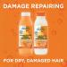 Garnier Fructis Damage Repairing Treat Conditioner - 98% Natural Ingredients Papaya - Nourish Dry Damaged Hair - 11.8 Fl Oz - International Shipping - Buy Online on GoSupps.com