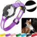 Airtag cat neck band - integrated cat collar Airtag waterproof reflective Airtag collar cat collar with safety lock element for kitten small dog (purple XS) XS (18-23cm) purple
