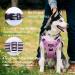 Funfox No Pull Dog Harness for Small Dogs | Adjustable & Breathable Safety Harness | Pink | Perfect for Medium & Small Breeds - Buy Online on GoSupps.com