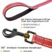 Demigreat Reflective Dog Leash - 3m to 20m Training Line with Padded Handle for Small to Large Dogs - Durable & Comfortable - Buy Online on GoSupps.com
