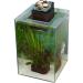Fluval Chi Cover - Buy Online on GoSupps.com
