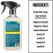 Aunt Fannie's Bright Lemon All-Purpose Cleaning Vinegar - 16.9 fl oz (500 ml) | Eco-Friendly Cleaner - Buy Online on GoSupps.com