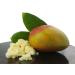 250g Mango Butter - Cosmetic Grade, 100% Pure & Natural - Pack of 1 - Buy Online on GoSupps.com