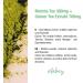 Vitabay Matcha Tea & Green Tea Extract 700mg - 90 Vegan Capsules with EGCG & Polyphenols | Premium Quality Bioavailable | Made in Germany - Buy Online on GoSupps.com