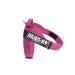 Julius-K9 Color & Gray Belt harness 2XL / 3 pink-grey
