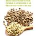 Sun & Seed Organic Hemp Seed Protein Powder - 300g - High Protein & Fiber, Low Fat - 100% Organic, Vegan-Friendly - Buy Online on GoSupps.com