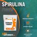 Spirulina Powder Superfood - 500g Blue Green Algae Supplement - Daily Greens 9g per Serving - Vegan Friendly - BulkSupplements.com - Buy Online on GoSupps.com