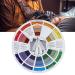 Multi-Color Tattoo Color Wheel Guide for Art Classroom & Business - Buy Online on GoSupps.com