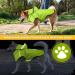 100% Waterproof Dogs Raincoat for Small Dogs | Adjustable Reflective Ultra-Light Rain Jacket with Hood - Buy Online on GoSupps.com