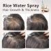 LIESE Rice Water Serum with Rosemary Oil - Hair Growth Treatment for Men & Women - 1.7 FL OZ - Buy Online on GoSupps.com