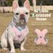 Buy Pawaboo No Pull Dog Harness with Leash Set - Adjustable X Frame Vest for Small & Medium Dogs - Comfort Fit Pink (L) | Free International Shipping - Buy Online on GoSupps.com