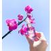 Teami Face Mist Spray Toner - Hydrating Alcohol-Free Makeup Setting Spray for Dry Sensitive & Oily Skin - Pore Minimizing Organic Witch Hazel & Aloe Vera - Buy Online on GoSupps.com