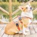 Belpro Multi-Purpose Dog Harness | No Pull Reflective & Adjustable Vest | Durable Handle & Dog Dishes for Large Dogs | XL Orange - Buy Online on GoSupps.com