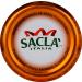 Sacla Wild Garlic Pesto - 6.7 oz | Gourmet Italian Sauce - Buy Online on GoSupps.com