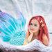 Nayyana 2 Pieces Starfish Hair Clips Body Face Mermaid Costume for Women and Girls Adults 3 in 1 Accessories for Little Mermaid - Buy Online on GoSupps.com