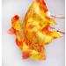 Women Belly Dance Silk Fan Veils - Gradual Orange - 1 Pair - Buy Online on GoSupps.com