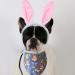 Easter Dog Cat Headband Bandana Set - Holiday Bib with Easter Eggs and Cute Bunny Costume for Pets (One Size) - Buy Online on GoSupps.com
