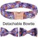 Shop Aring Pet Halloween Dog Collar - Cute Pumpkin Design | Fly Cotton Skull & Bat Straps for Small to Large Dogs - Buy Online on GoSupps.com