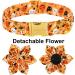 Enchanting Halloween Dog Collar with Flower - Aring Pet Costume - Perfect XS Gift for Boys & Girls - Pumpkin Ghost Design - Buy Online on GoSupps.com