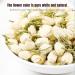  HQZMCTE Premium Dried Jasmine Bud Herbal Tea Pure Strong and Fragrant Jasmine Tea 50g Flower Tea - Buy Online on GoSupps.com