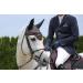Roeckl Sports Riding Gloves ROECK-Grip PRO - Unisex Summer Gloves | 3 Colors Sizes 6-11 | Premium Quality Equestrian Gear - Buy Online on GoSupps.com