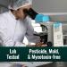 Natural Force Organic Clean Coffee Classic | Mold & Mycotoxin Free | Lab Tested | Low Acidity | Incredible Taste | Whole Bean Medium Roast 12 oz - Buy Online on GoSupps.com