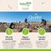 HerbalGem Organic Lemon Tree Macerat-Mother of Gemmotherapy Concentrated 30 ml - Buy Online on GoSupps.com