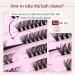 Individual Wispy Cluster Eyelash Extensions | Goddvenus Mixed Cluster Lashes - 2 Styles - Buy Online on GoSupps.com